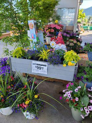 Demo raised bed plantings.