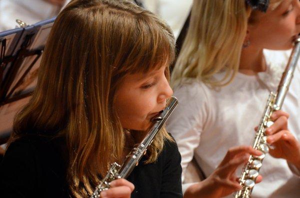 We teach Woodwinds, Brass, Strings, Percussion and Guitar