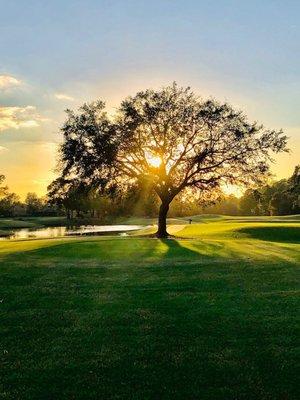 The Peninsula Golf and Racquet Club Gulf Shores Al.