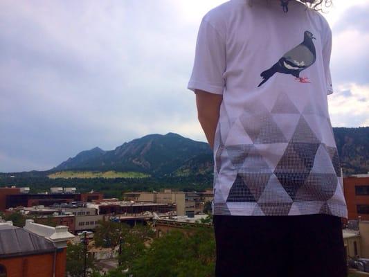 Staple pigeons on the beautiful Boulder rooftops