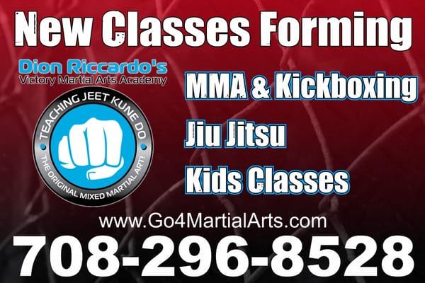 Victory Martial Arts Naperville - MMA classes with great instructors