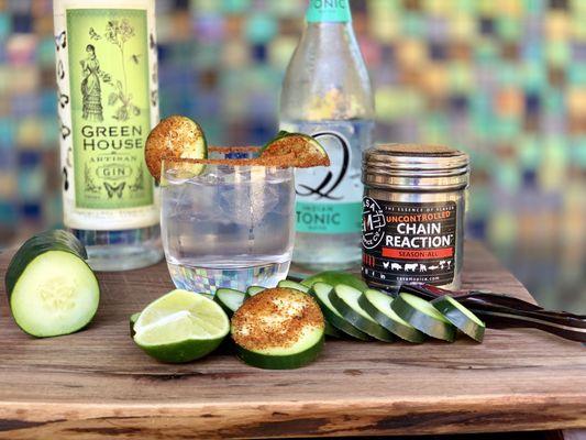 Casa M Spice Co® Uncontrolled Chain Reaction® Season-All adds a spicy kick to a Gin & Tonic