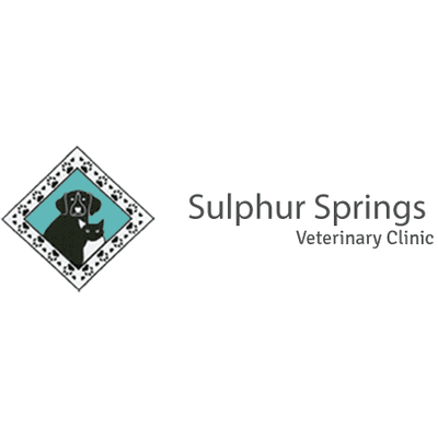 Sulphur Springs Veterinary Clinic