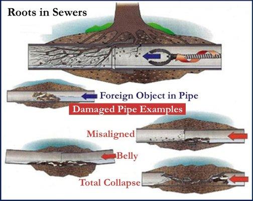 What's in your sewer.  Our video inspection services will help you see the inside of your sewer pipes.