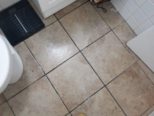 BATHROOM floor clean