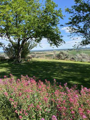 Mother nature's colors at the Schirmer Idaho ranch