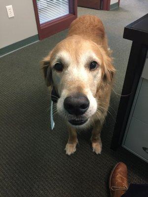 Chief Morale Officer, Mason, ready to answer your calls!