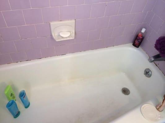 Bathtub Before