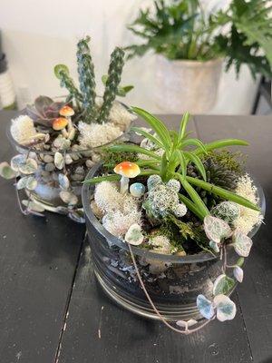 Our finished terrariums