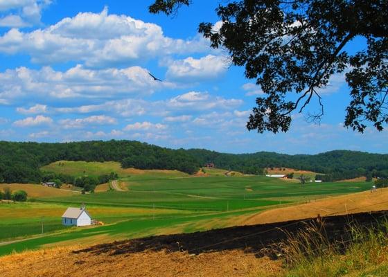 Wilson Creek valley