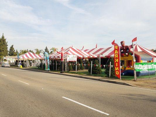 On Yorba Linda Blvd between Palm and Valencia under the BIG TOP TENT!