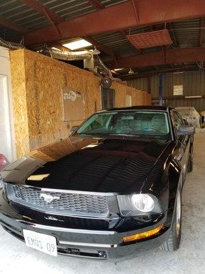 After being hit and run in SF, my Mustang now looks good after the body work and pain job!