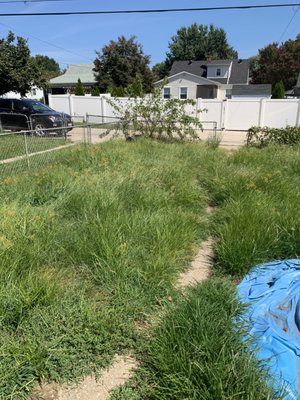 Careful Mowing Landscape