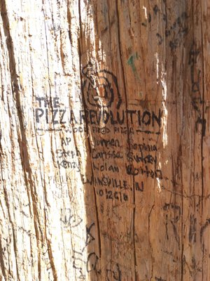 The Pizza Revolution