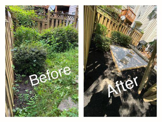 Bush trimming, mulch box with gravel, and mulch!