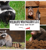 Wildlife Wranglers