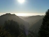 Purisima Redwoods hike