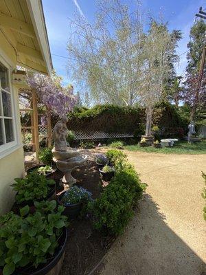 One of the flower beds with new top soil.