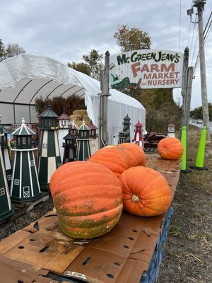 Mr Green Jeans Farm Market & Nursery