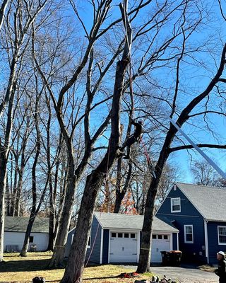 Tree climbing