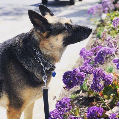 Smelling the flowers