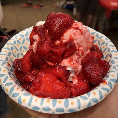 @bigmovie // Strawberry Shortcake w/ The Works at the 2019 Benner's Farm Strawberry Festival