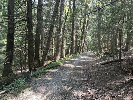 Access trail from parking lot