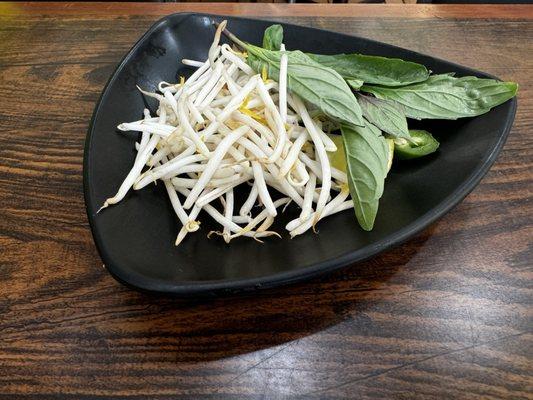 Bean sprouts and basil