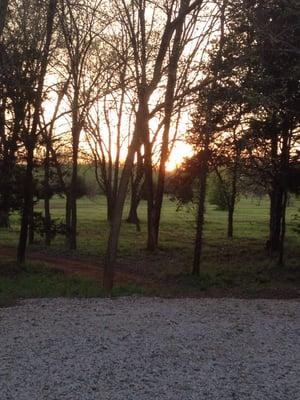 Our walking trail at sunset.