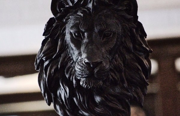 The lion represents what it means to be King.