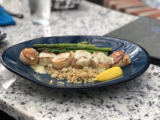 Scallops on a rice pilaf with sautéed asparagus in tarragon creme sauce