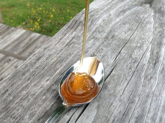 A spoon full of goodness! Our raw spring wildflower honey