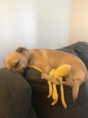 Squid is always so tired from playing all day!