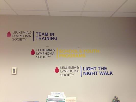 Some of LLS' campaigns!