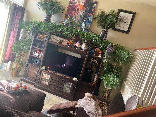 Two tall plants on either side of big brown wood tv center