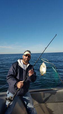 Porgies caught with Twrecks Charters out of Atlantic City New Jersey