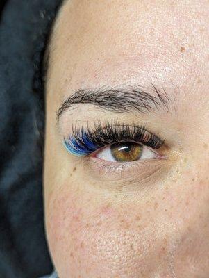 Ombre Volume lashes