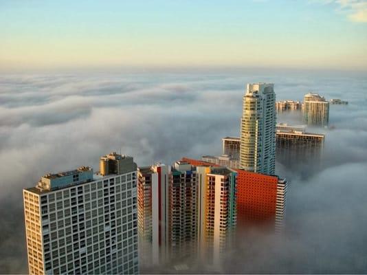 Brickell from the Sky, Top of the World