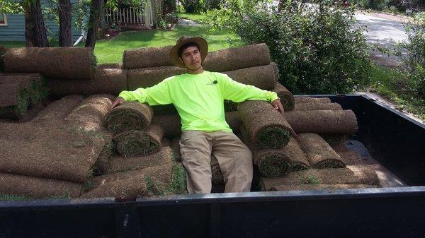 Throne of sod