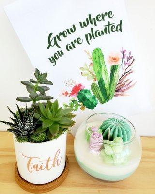 Succulents make the perfect gifts. Here are a few options we carry that celebrate the perfect planted gift.