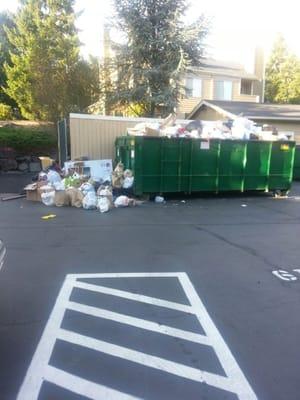 (I WILL REMOVE THIS PHOTO IF THEY FIX THE SITUATION!!) The garbage has looked like this for the past month.