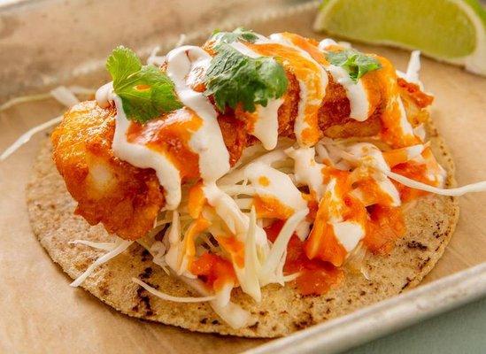 Fried Cod Fish Taco