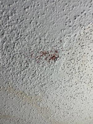 Blood on the ceiling!