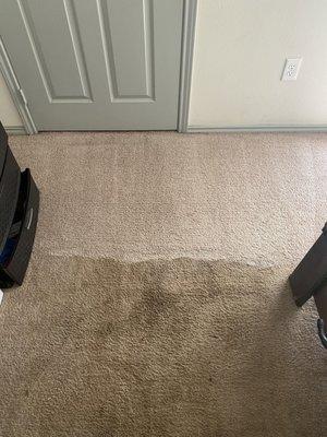 Gallegos Carpet Cleaning