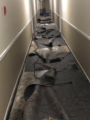 Commercial flood job