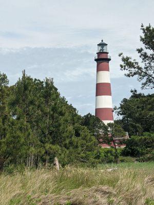 Assateague lighthouse