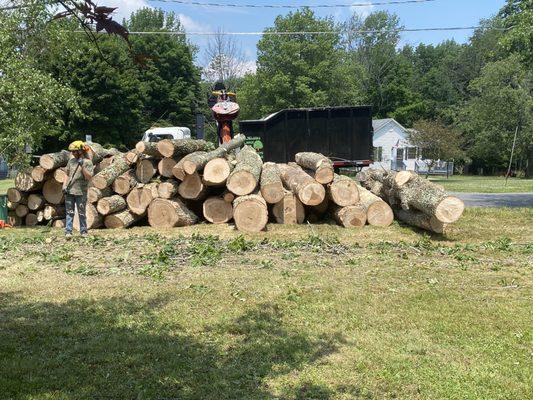 Wood stacked as it's being loaded into truck.