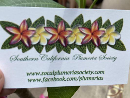 Plumeria society info