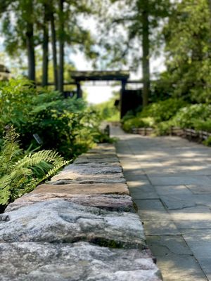 Bonsai & Penjing entrance