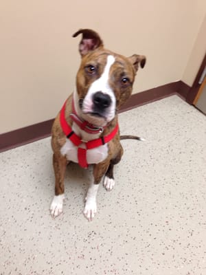 Xander at the doctor!